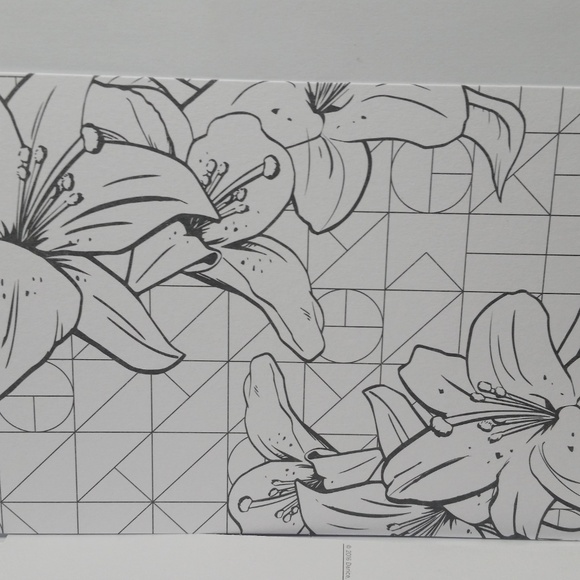 Adult Coloring Color Your Own Postcard Flowers - Picture 5 of 9